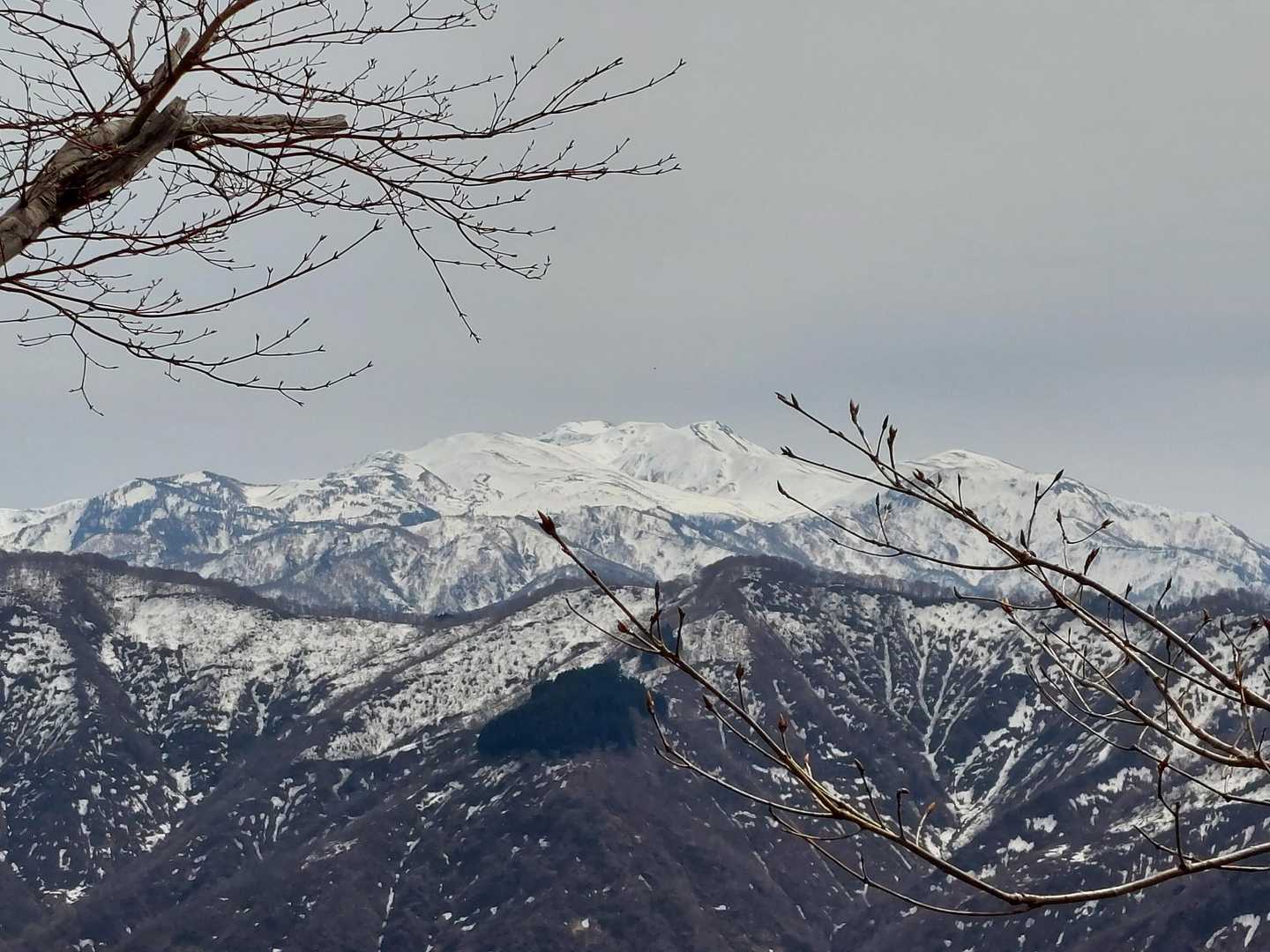 白山🤍