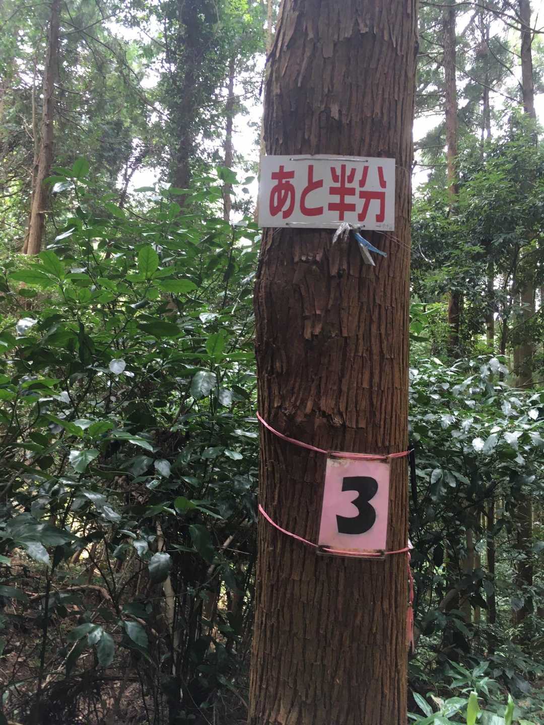 ここまでが、キツイ。