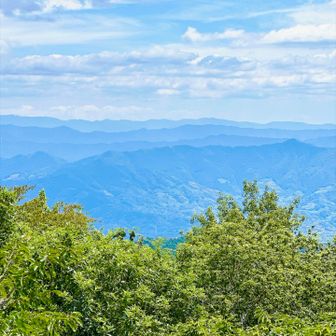ずーっと向こうまで山山山⛰️⛰️🏔´-