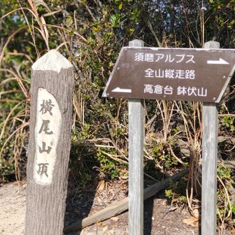 横尾山山頂
五座目