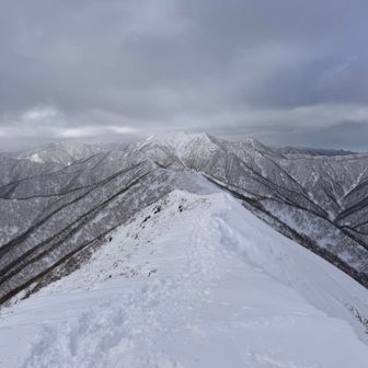 トヨニバイバーイ