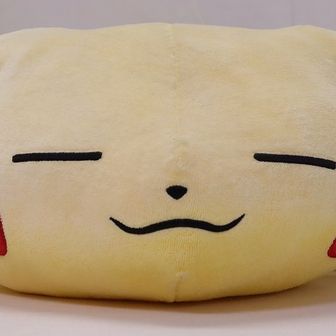 こまき*産後の為登山お休み中