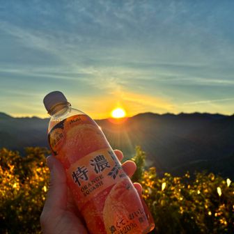 山頂特濃🍑
