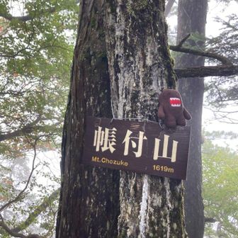 やっぱこれだね🤎
この一面の🤍が落ち着く🎵