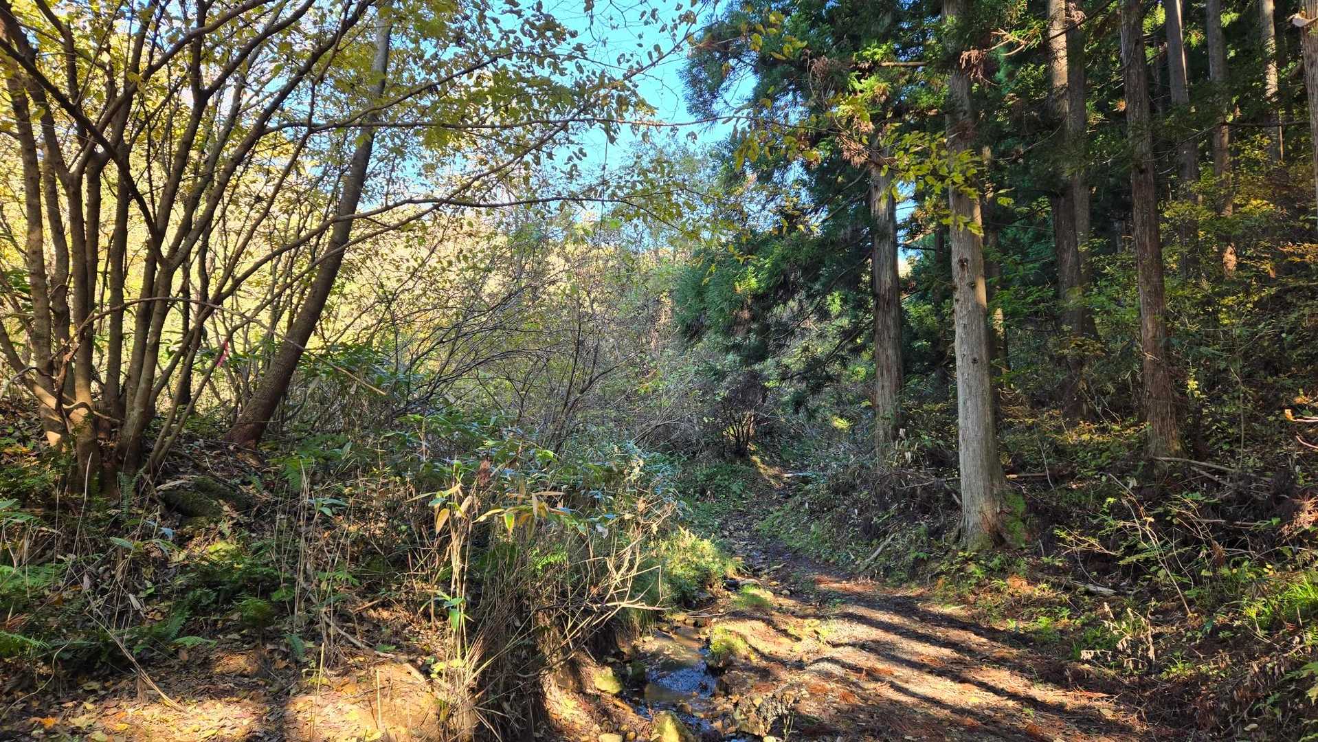 筑紫森登山口-筑紫森岩脈-筑紫森 往復コースの写真