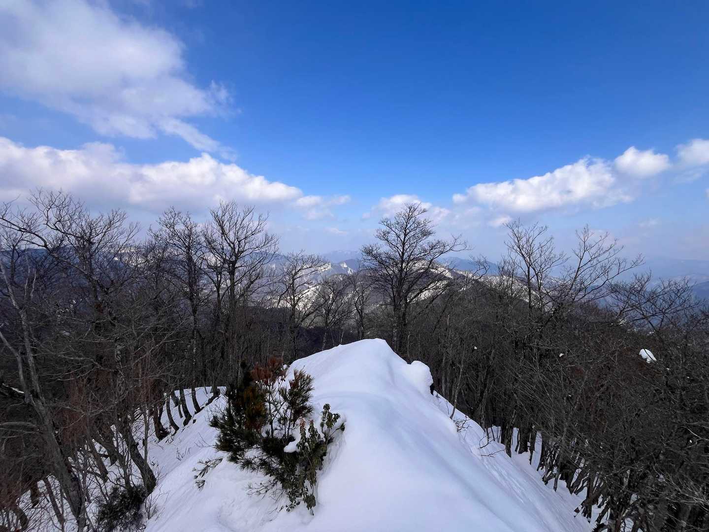 笠杉山登山口-笠杉山 往復コースの写真