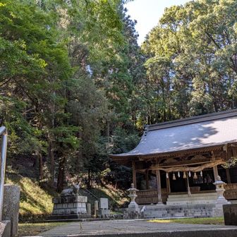 ⛩️菅原神社で🙏

※神社奥の▲宮山は何も無しだった〜😔