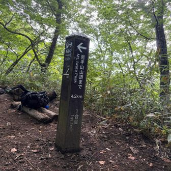 やっと1合目🫩
先は長いな〜