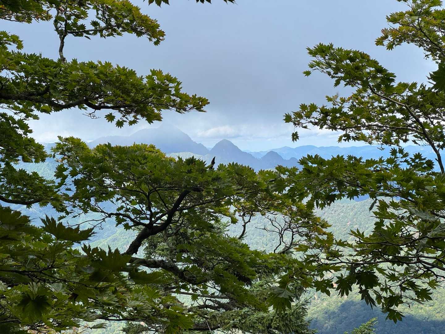 段々と低くなっていく、自称「家族山」が見えてました（山名は知らず）