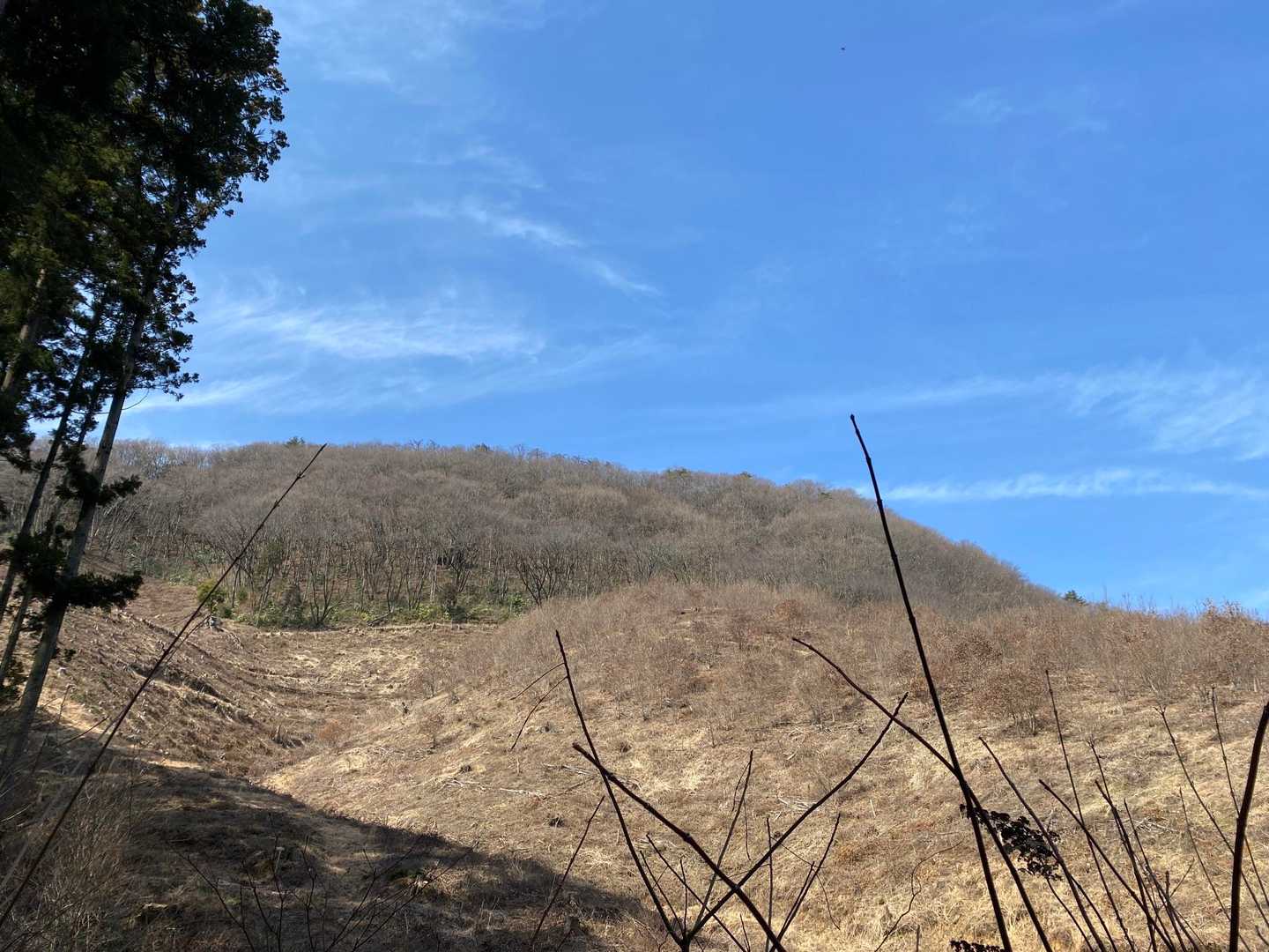 いい里さかがわ館-焼森山登山口-ミツマタの小径入口-鶏足山 往復コースの写真