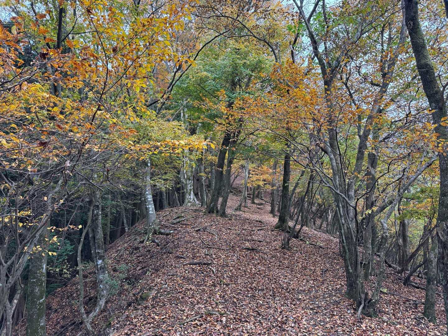 気持ちの良い尾根道