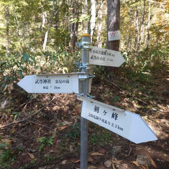 お昼頃、ようやく登山口スタート地点に戻ってきました👣