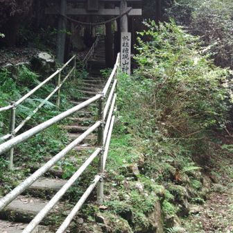 帆柱権現山神社を抜けて権現山へ。