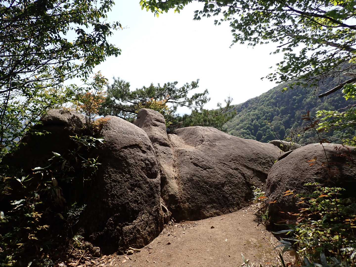 オウム岩
眺望良くなかった。