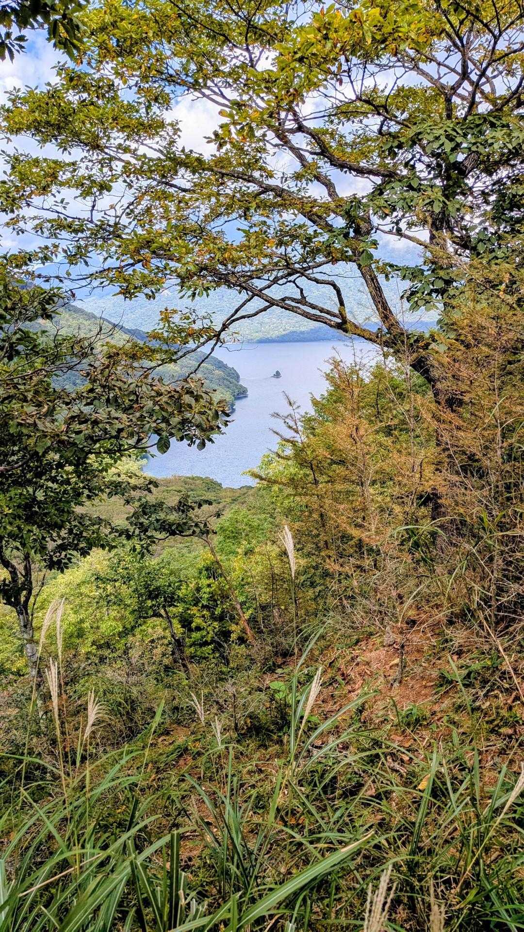 半月山登山口-半月峠-中禅寺山-阿世潟峠 往復コースの写真