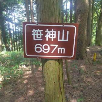 笹神山697m🙌