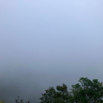あんなに天気が良かったのに、全部真っ白