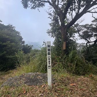 687m 1番高い山に登った日