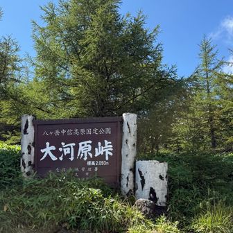大河原峠到着。青空！