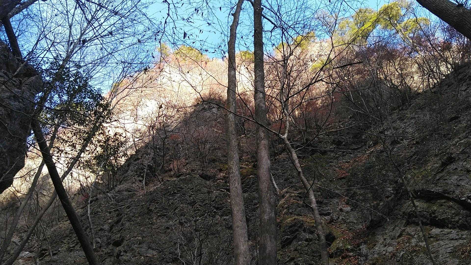 画像では分かりにくいですが凄い岩です。
