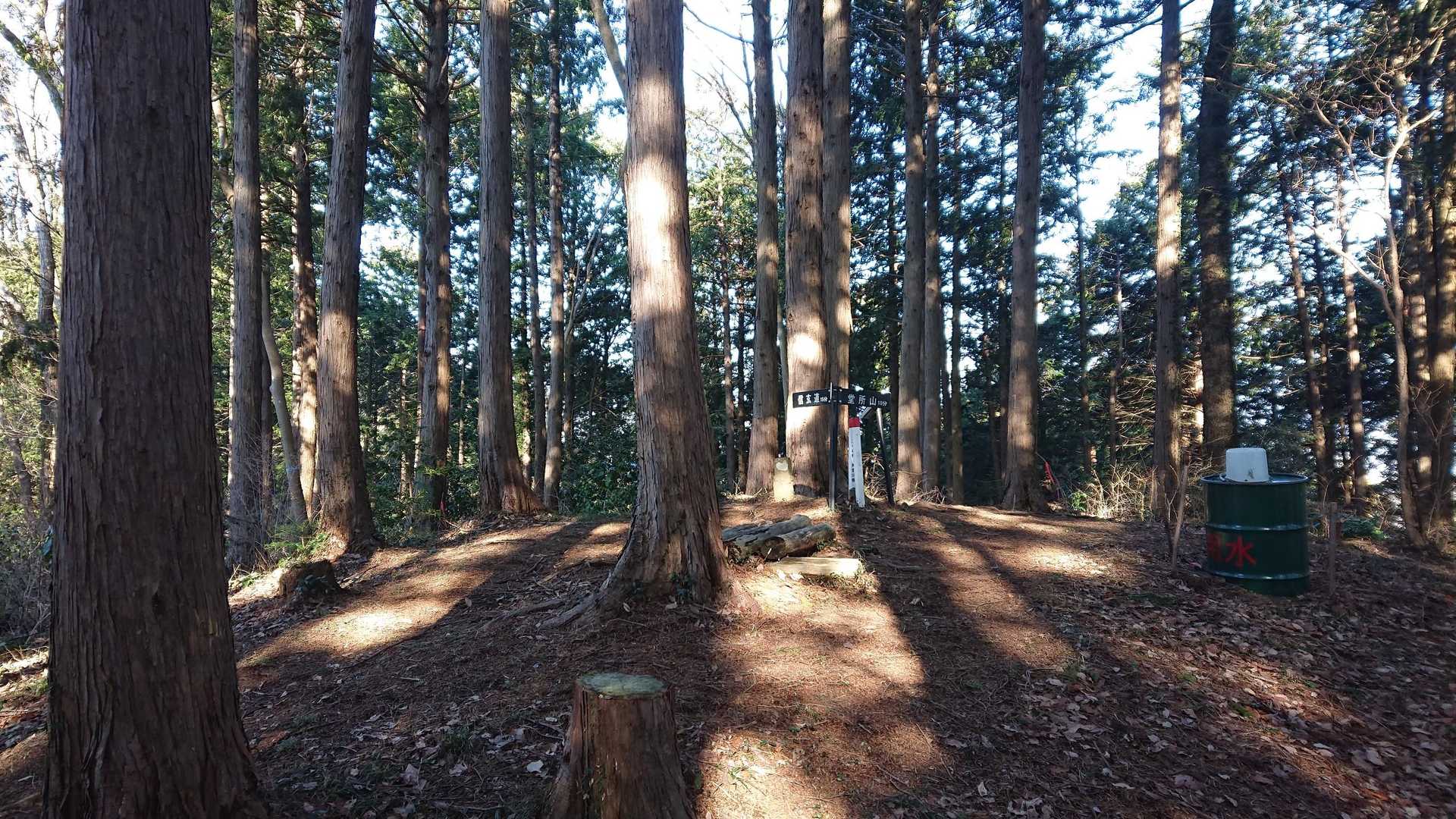 分岐はまず➡️へ
