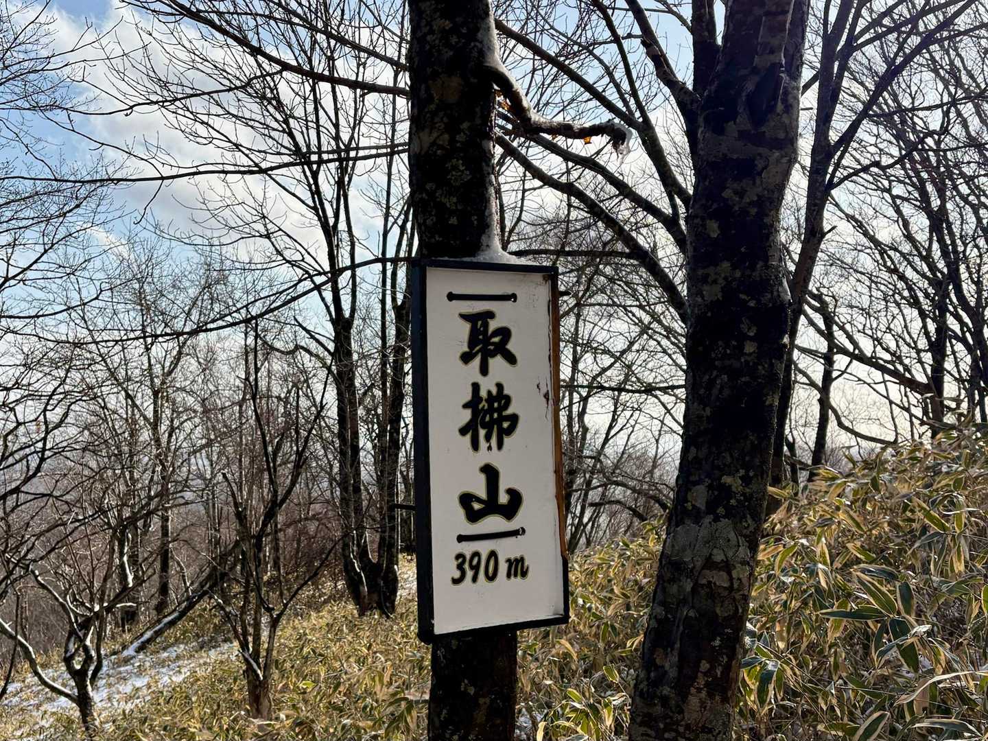 なかなか読めませんよね。
反射板に『取払山』って、記載がありました。