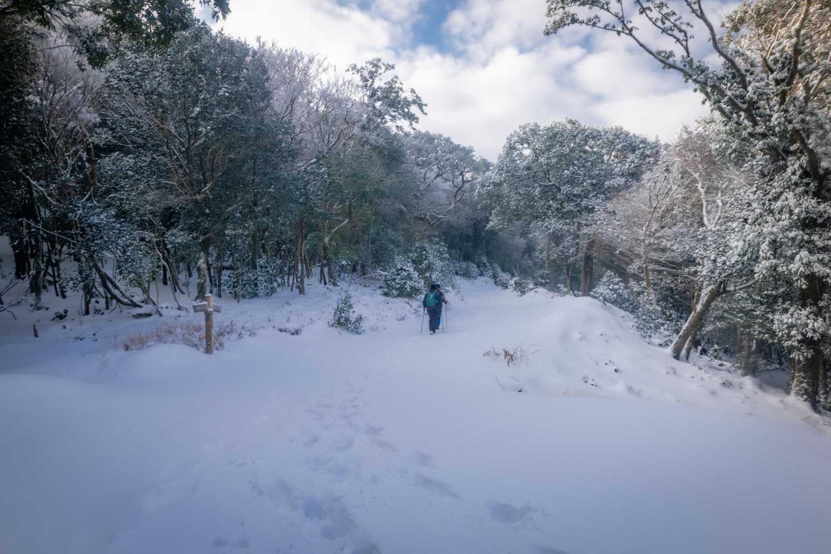 紫尾山 周回コースの写真