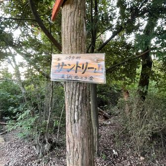 サントリー山到着
