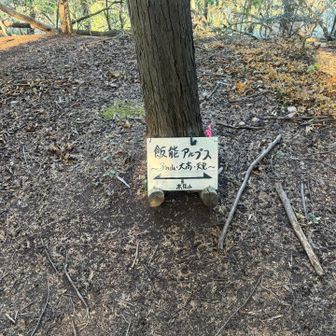 ココに来て飯能アルプスの表記が…