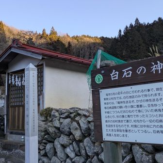 堂平山・笠山（乳房山）・大霧山 白石キャンプ場からスタート