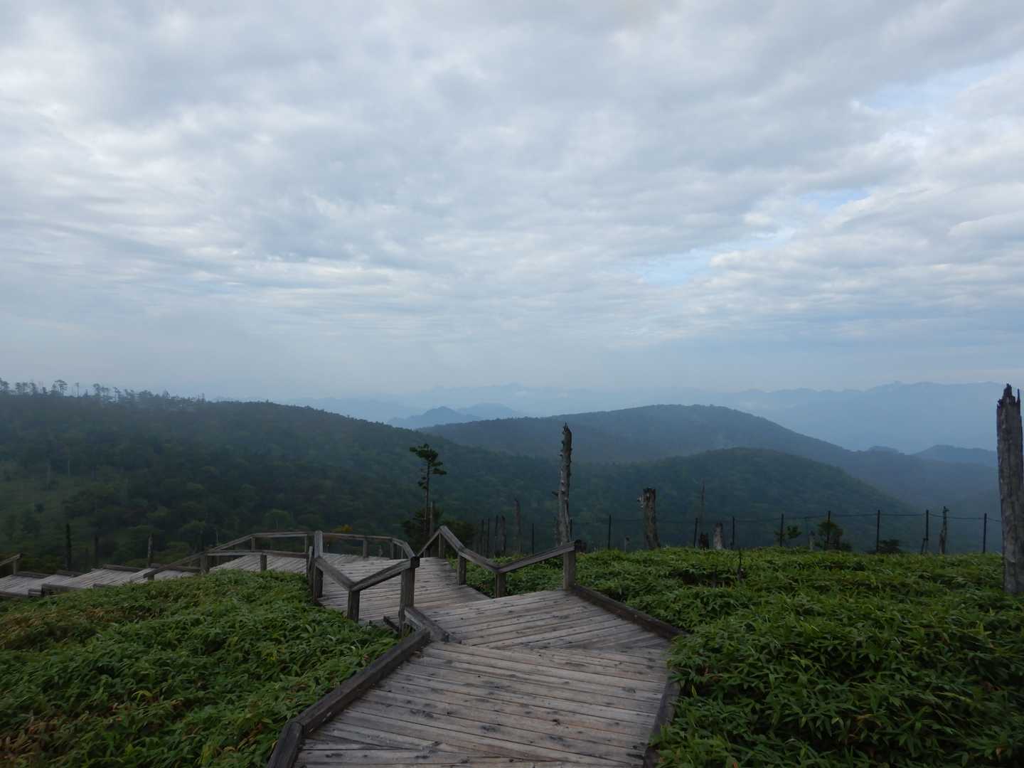 視界が良くなって来ました。
