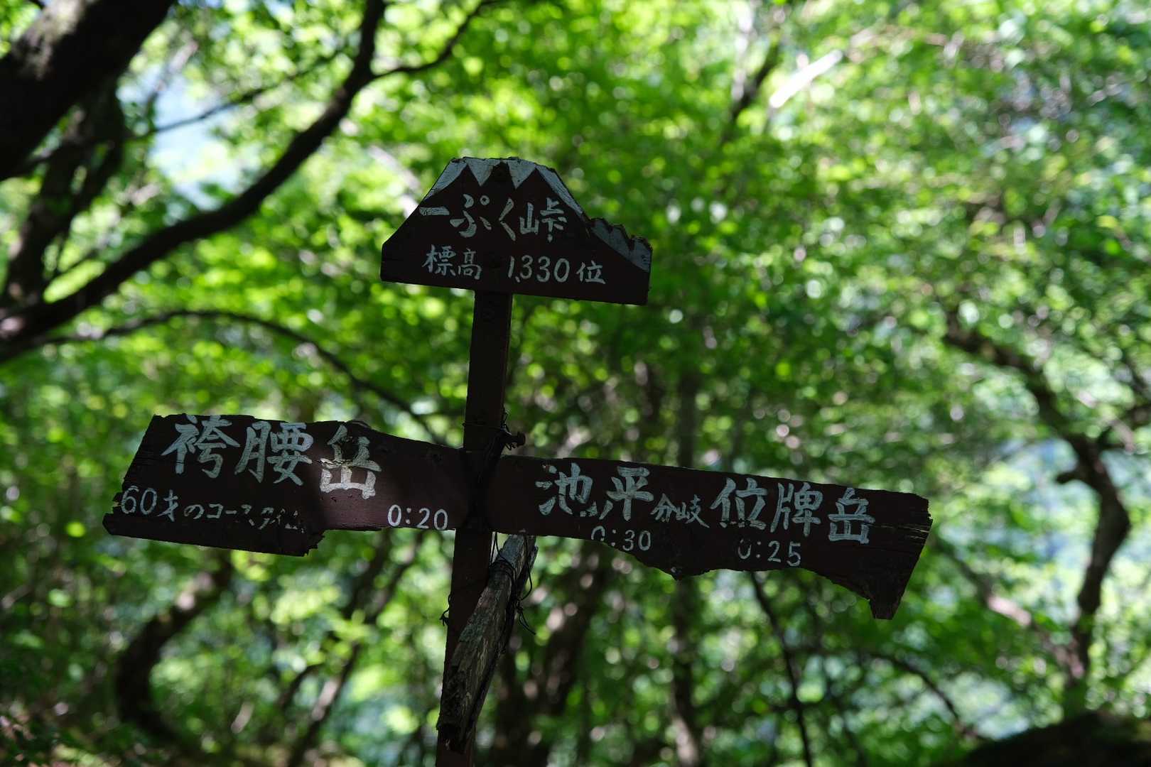 一服峠です。
６０歳のコースタイムが記載してあります。