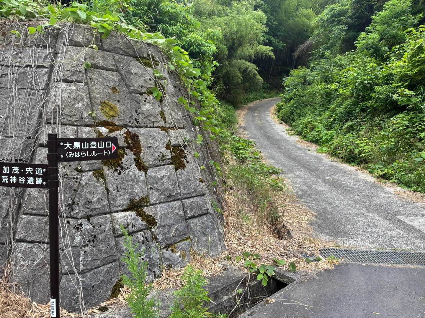 大黒山 往復コースの写真