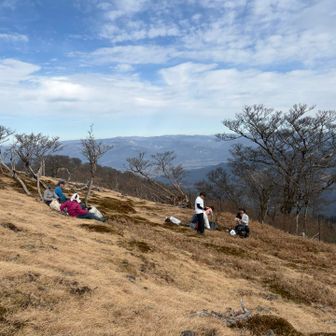 のんびりランチ