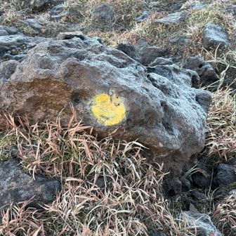 ニコちゃんマークに見えた気がした