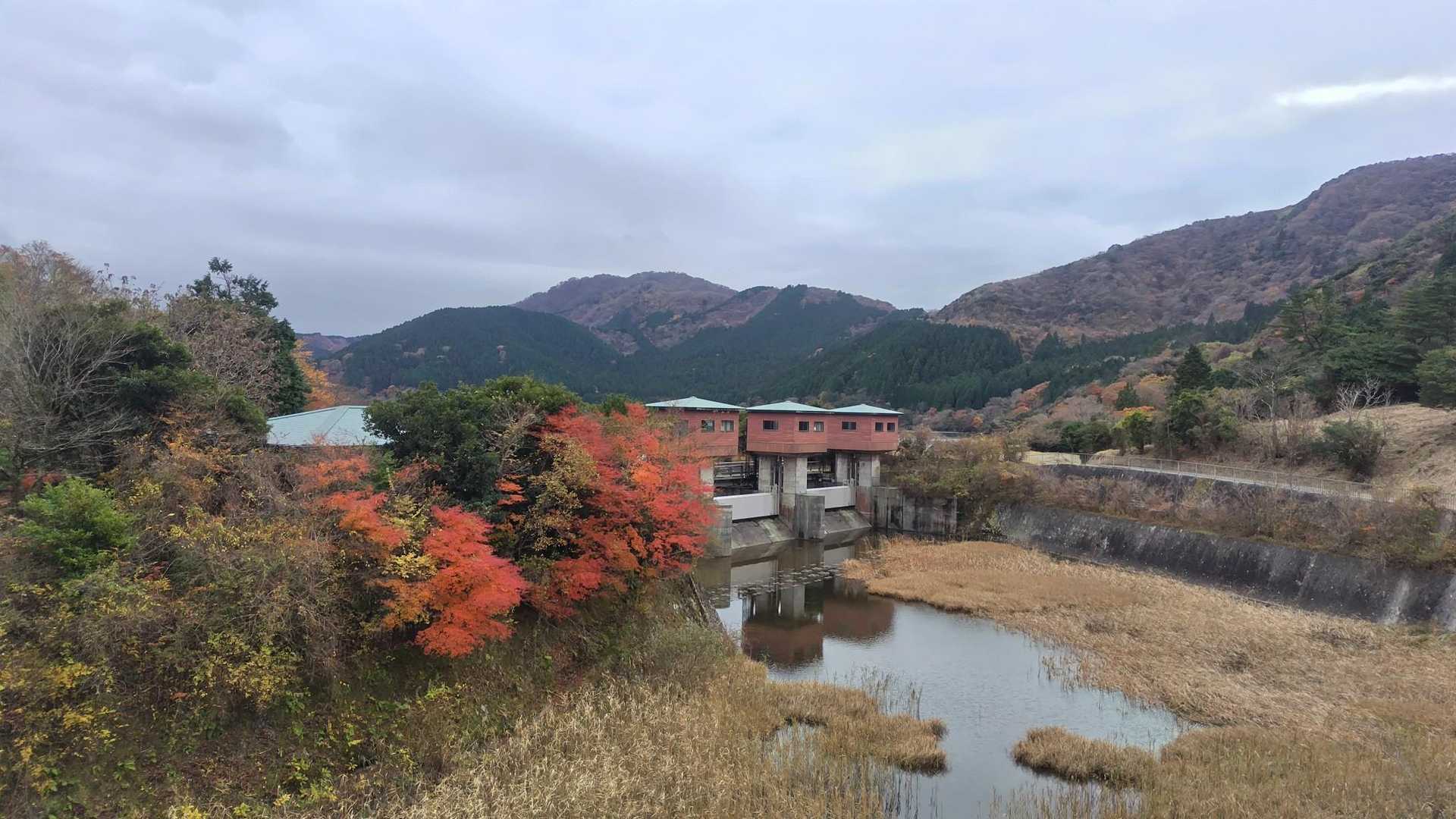 湖畔は紅葉キレイ