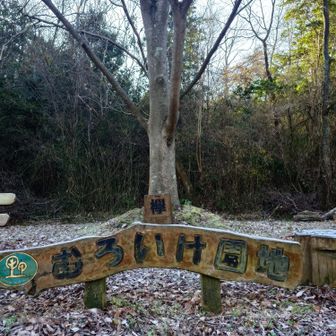 霜のおりたむろいけ園地から出発。🎶🏃