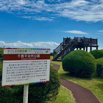 展望台では、団体さんがワイワイお昼ご飯🍱中