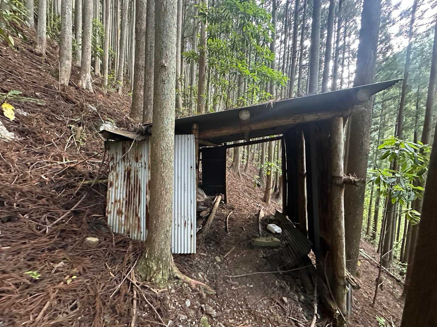 登山道はこの小屋の中を通って行くようですが､､､
ワシ🦅はこういう所を通る時、誰かが「わぁ〜」って出て来たら､､､とか色んなこと想像してしまうんです。😅💦