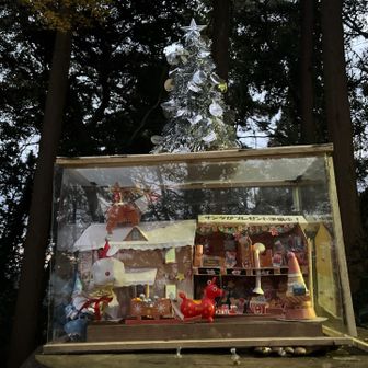 クリスマスバージョン🎄🤶