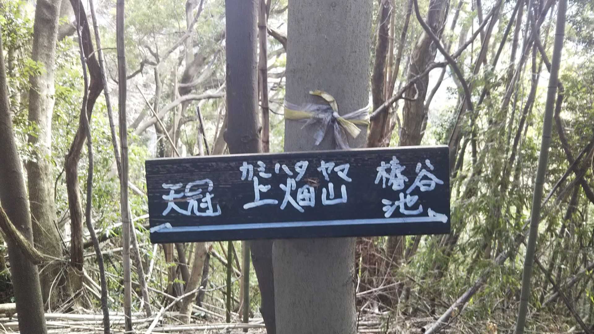 上畑山