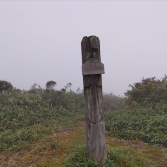 大水上ｻﾝ