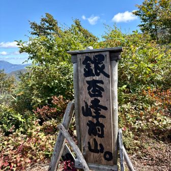 前山まで下りて前山新道から帰ります