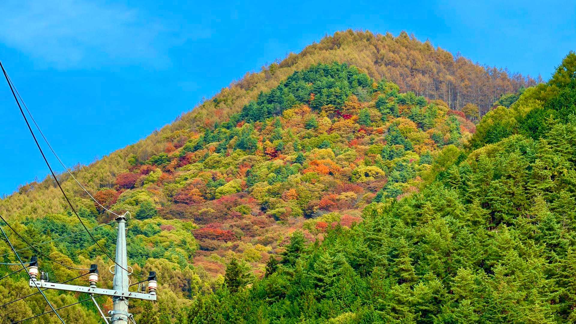 民家が少なくなって渓谷沿いの林道を歩いていく
森が深くなってきて目の前のお山が紅葉しているのが見えてきた
これなら道中は紅葉狩りを楽しむことができそうだ
ウキウキしてきたな♪
