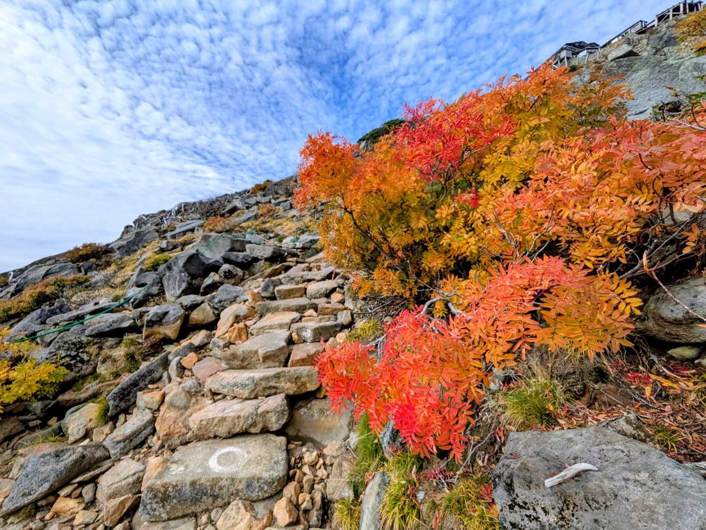 中の湯登山口-御嶽山 周回コースの写真
