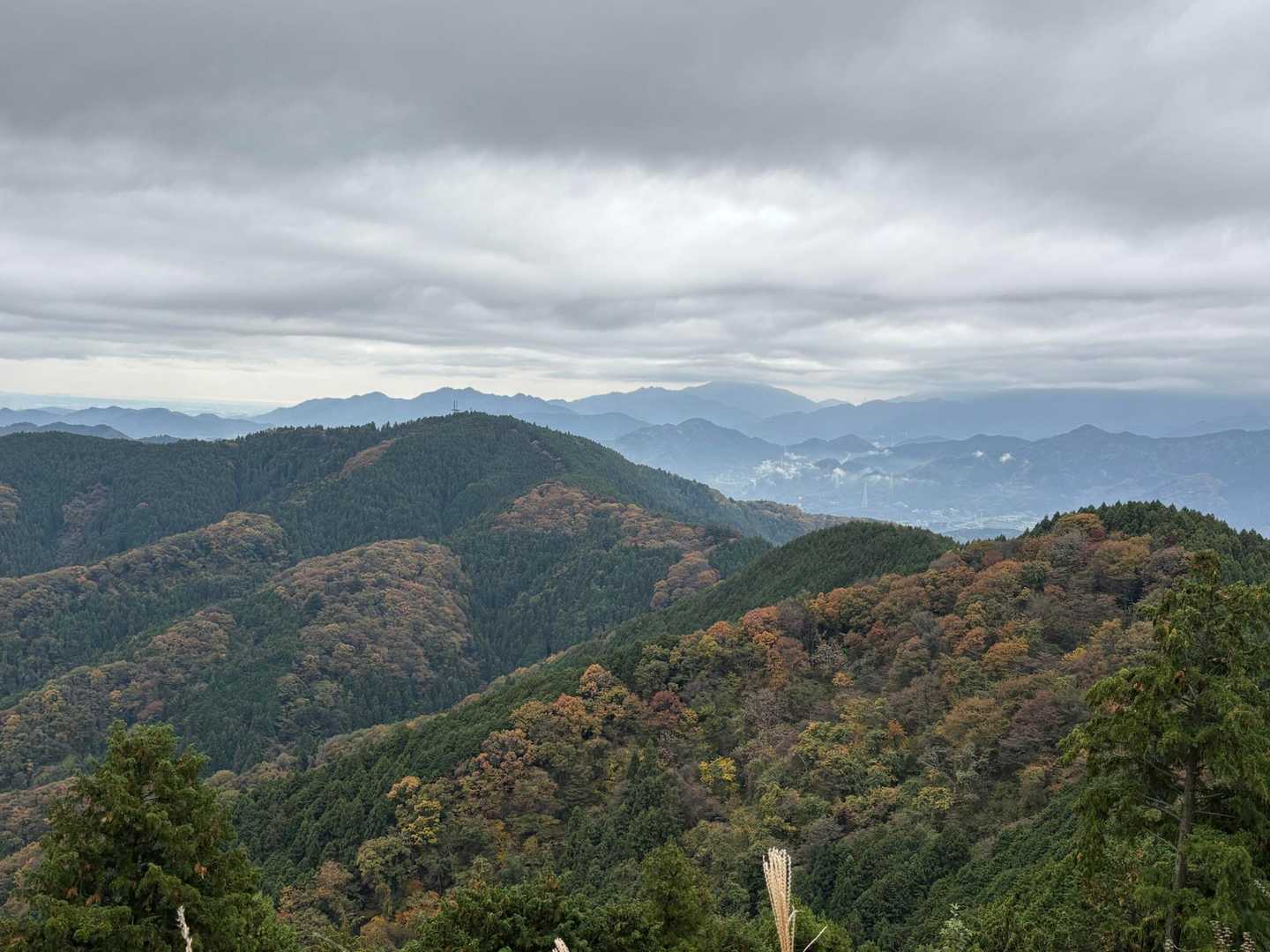 膝の調子がいいので景信山へも縦走しました
歩いてきた小仏城山、小仏峠も色づいています