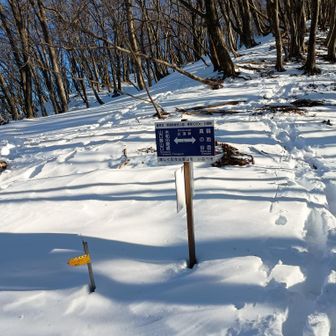 白瀬峠に戻ってきました