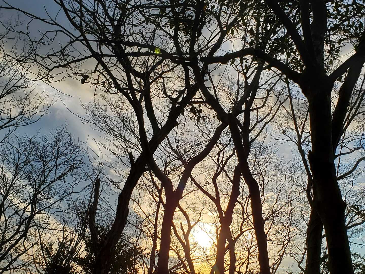 夕陽🌇