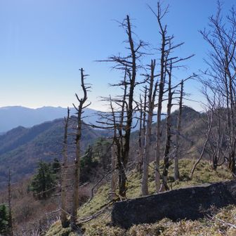今回の危険個所に下る手前のここでチェンスパを装着