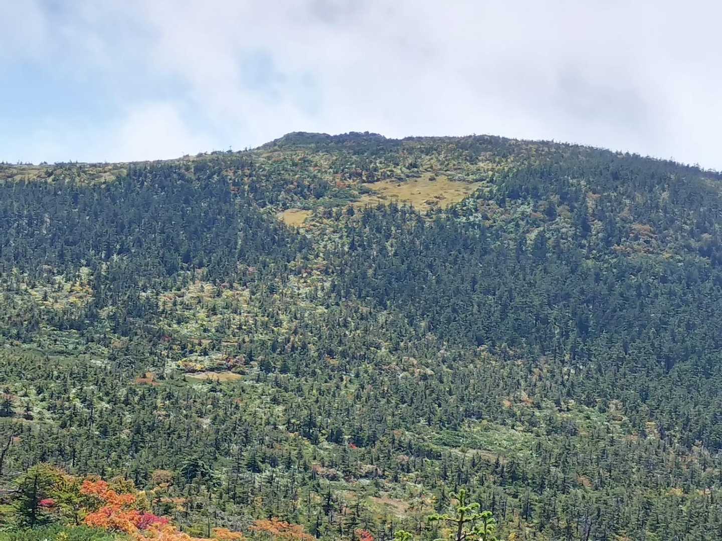 西吾妻山登山口-西吾妻山-天元台つがもりリフト 往復コースの写真